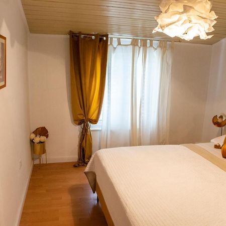 Casa Tosic Διαμέρισμα Ρόβινι Εξωτερικό φωτογραφία